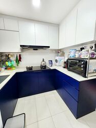 Blossom Residences (D23), Condominium #464999231